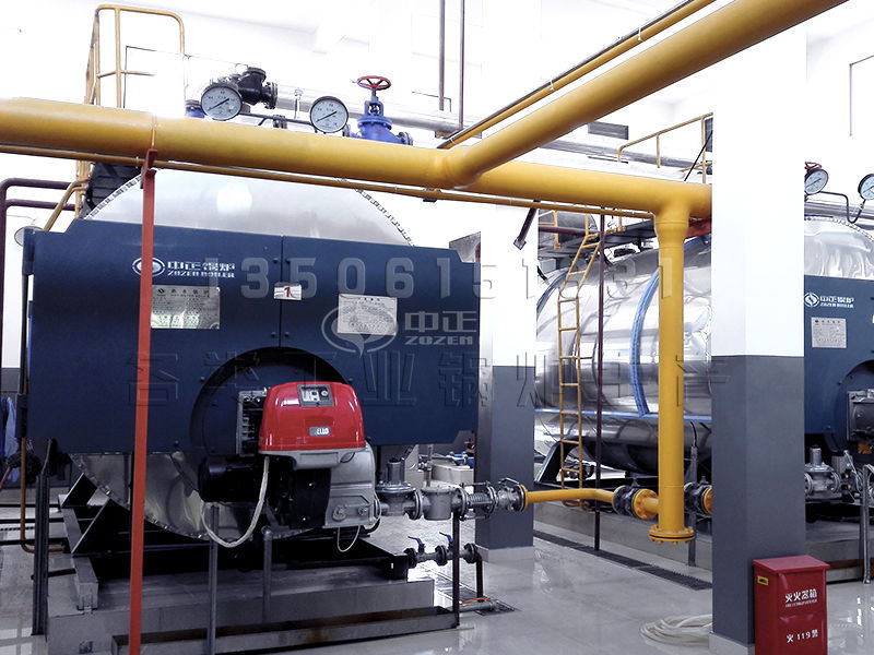 生物質熱水鍋爐