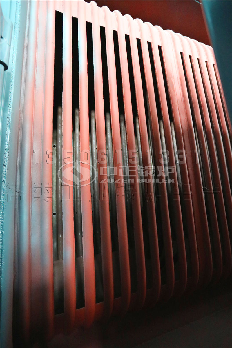 生物質燃燒鍋爐價格